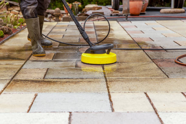 Animal Enclosure Cleaning in Cambria, CA